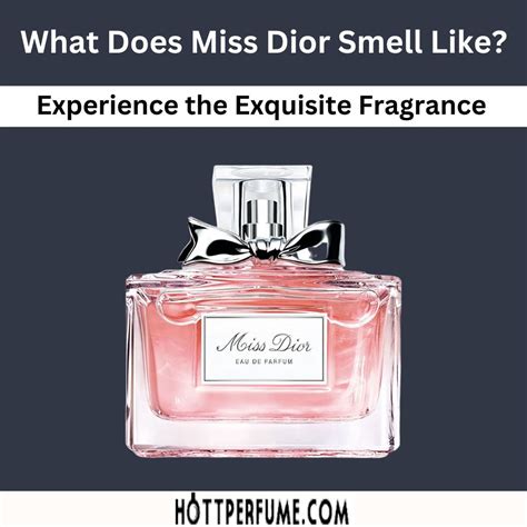 miss dior kit|what does miss dior smell like.